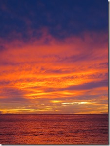 Chatham (21)