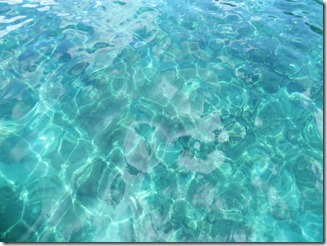 Moliniere (5)
