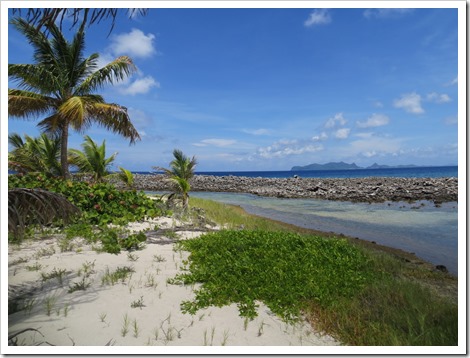 Sandy Island (113)