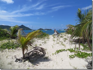 Sandy Island (114)