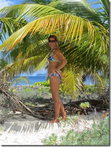 Sandy Island (131)[3]
