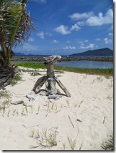 Sandy Island (133)