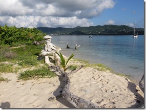 Sandy Island (54)