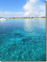 Sandy Island (71)