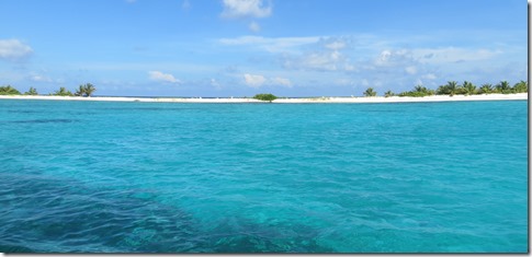 Sandy Island (81)