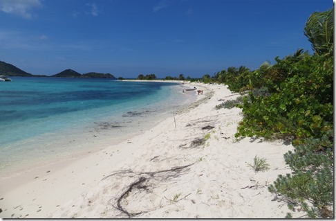 Sandy Island (96)