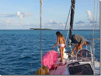 Tobago Jamesby (44)