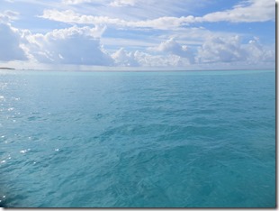 Tobago Jamesby (53)