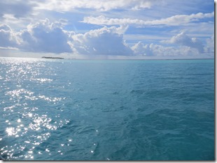 Tobago Jamesby (54)