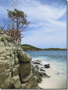 Tobago Jamesby (67)