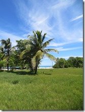 Tobago Petit Bateau (20)
