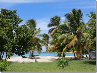 Tobago Petit Bateau (21)