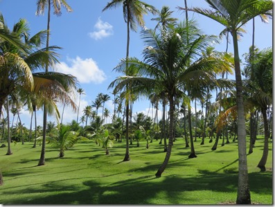 Club Med Boucanier (46)
