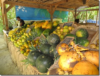 Grande Anse des Salines (12)