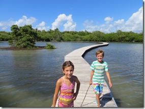 Grande Anse des Salines (17)