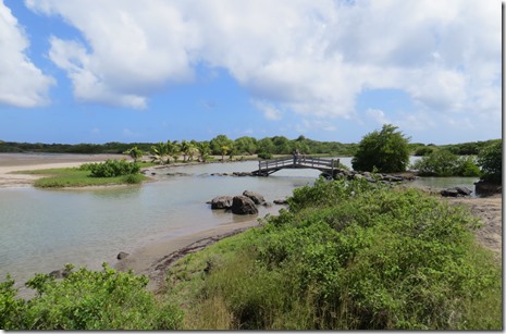 Grande Anse des Salines (34)
