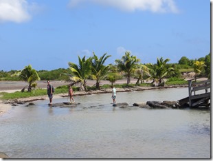 Grande Anse des Salines (37)