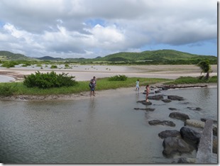 Grande Anse des Salines (39)