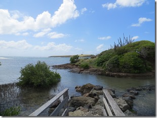 Grande Anse des Salines (40)