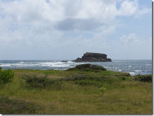 Grande Anse des Salines (48)