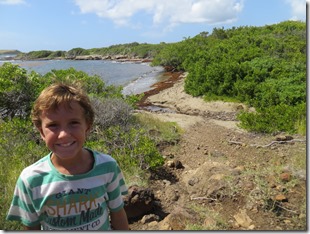 Grande Anse des Salines (54)