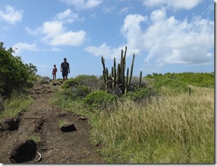 Grande Anse des Salines (57)