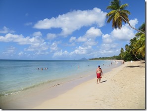 Grande Anse des Salines (5)