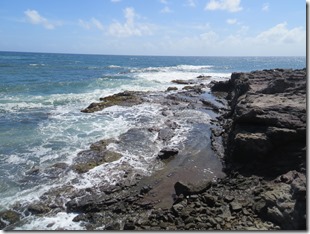 Grande Anse des Salines (60)