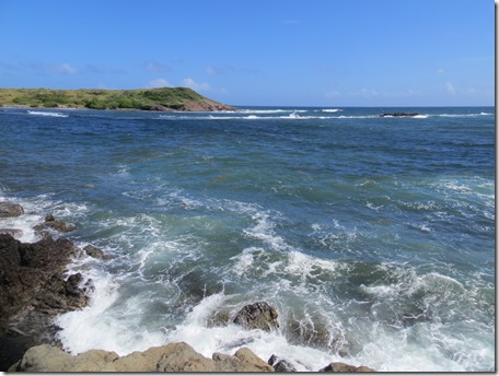 Grande Anse des Salines (61)