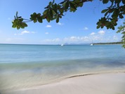 Grande Anse des Salines (74)