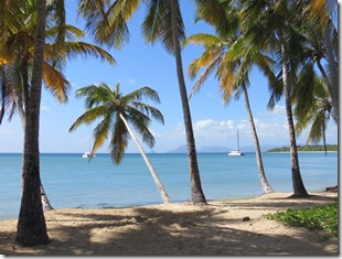 Grande Anse des Salines (75)