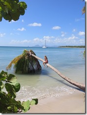 Grande Anse des Salines (79)