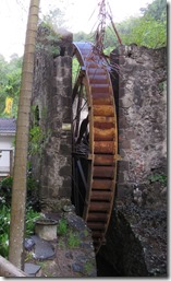 Jardin du Carbet (25)