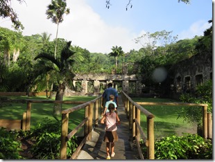 Jardin du Carbet (4)