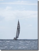 Nav Dominique (11)