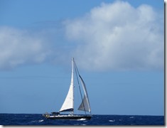 Nav Dominique (14)