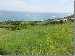 Petite Martinique (22)