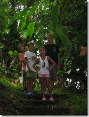 Soufriere volcan (13)