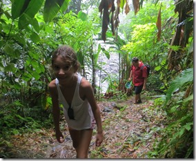 Soufriere volcan (35)