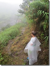 Soufriere volcan (47)