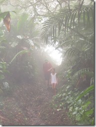 Soufriere volcan (74)