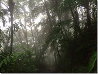 Soufriere volcan (75)