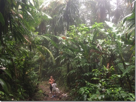 Soufriere volcan (76)