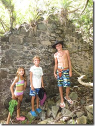 Young Island (25)