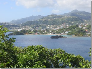 Young Island (31)