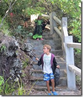 Young Island (34)