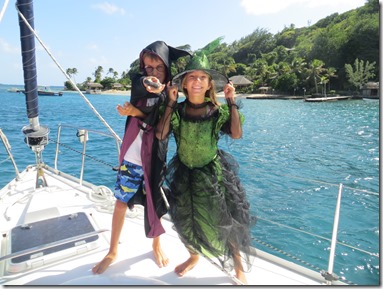 Young Island (3)
