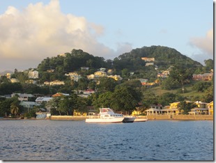 Young Island (57)