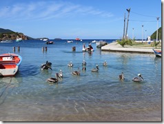 Bourg des Saintes (37)