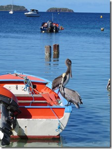 Bourg des Saintes (41)